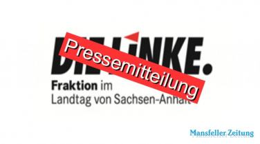 Fraktion DIE LINKE: Hausärzte bei Impfungen einbeziehen – mit Sputnik V nicht zögern