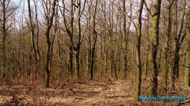 Der BUND Sachsen-Anhalt kämpft gegen eine geplante Deponie im Mansfelder Stadtteil Großörner