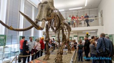 Mammut darf vorerst bleiben - Protest zum Museumserhalt war erfolgreich!